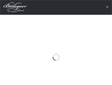 Tablet Screenshot of budeguer.com